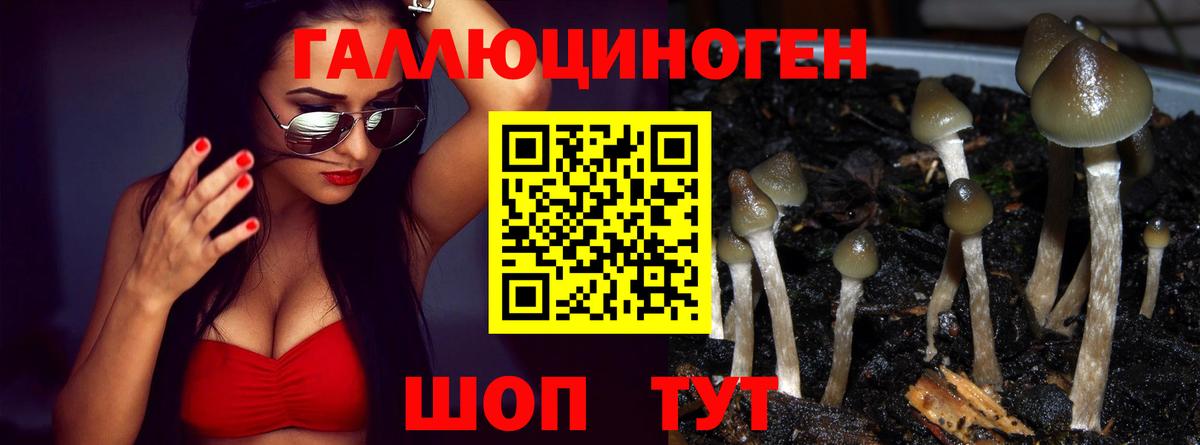 Удомля  Галлюциногенные грибы GOLDEN TEACHER  Вход с VPN  Псилоцибиновые грибы MAGIC MUSHROOMS 